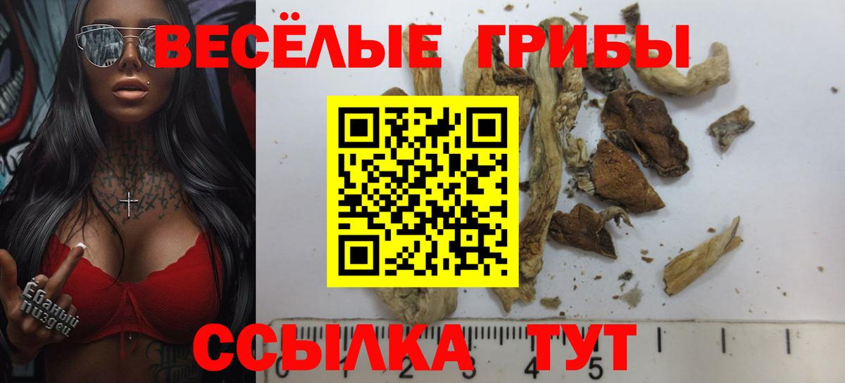 Черкесск  магазин продажи наркотиков  Вход с VPN  Псилоцибиновые грибы Magic Shrooms 
