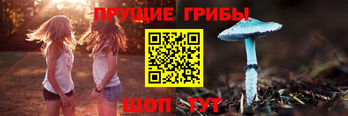 Галлюциногенные грибы Cubensis Черкесск